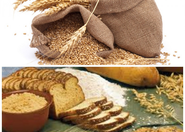 Manfaat Gandum Utuh untuk Diet Sehat: Sumber Serat yang Baik dan Pilihan Nutrisi Tepat