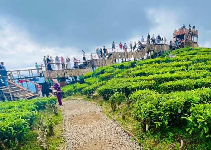 Kunjungan Wisatawan Meningkat Dongkrak Retribusi Wisata Pagar Alam