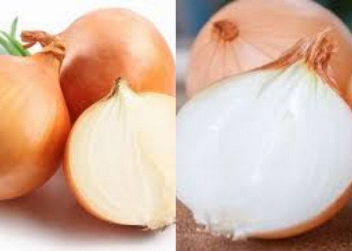 9 Manfaat Bawang Bombai Bagi Kesehatan Tubuh Yang Perlu Kalian Tahu!
