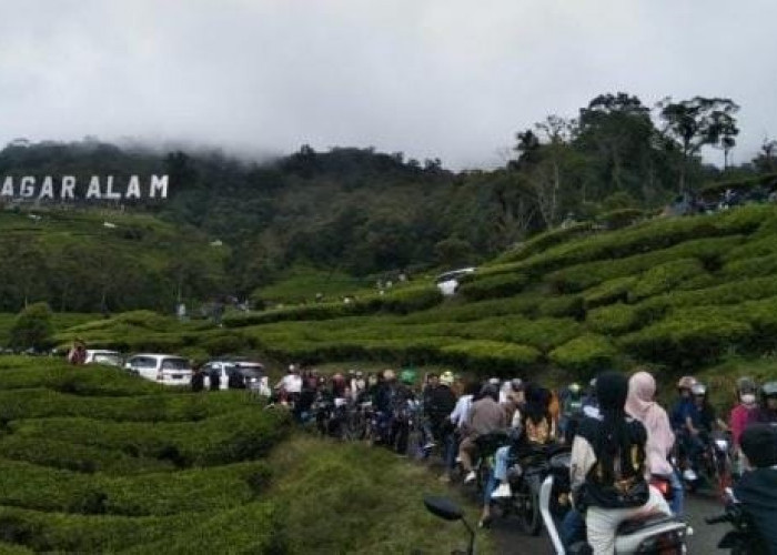 Cegah Kemacetan, Satlantas Polres Pagar Alam Terapkan Kebijakan Satu Jalur di Kawasan Wisata Gunung Dempo