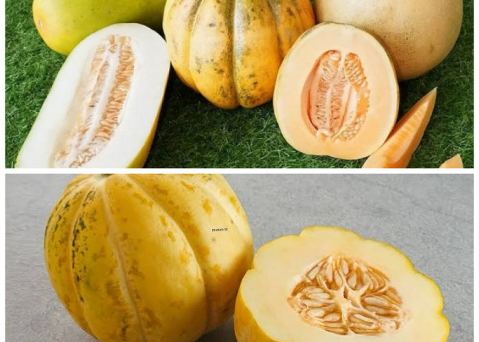 Inilah Khasiat Segar Buah Blewah untuk Menjaga Kesehatan Tubuh!