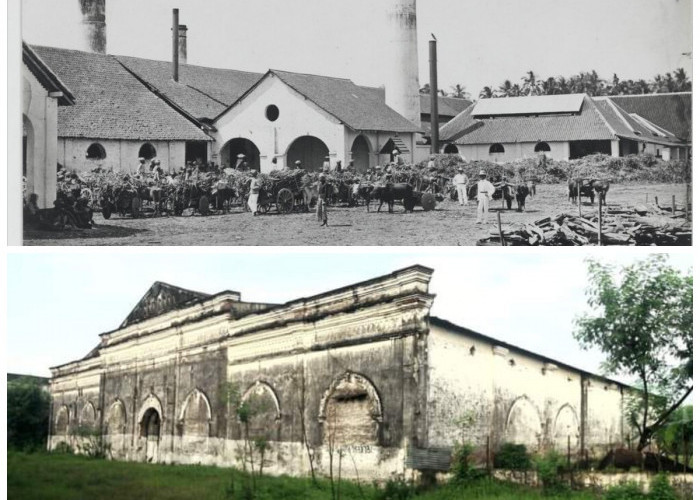 Fakta atau Mitos? Mengungkap Sejarah Perumahan Ketintang Surabaya yang Konon Bekas Pabrik Gula