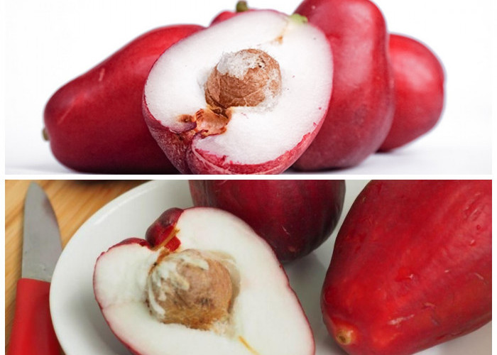 Manfaat Jambu Jamaika bagi Kesehatan Tubuh: Buah Tropis Kaya Nutrisi untuk Pencernaan, Jantung, hingga Kulit!