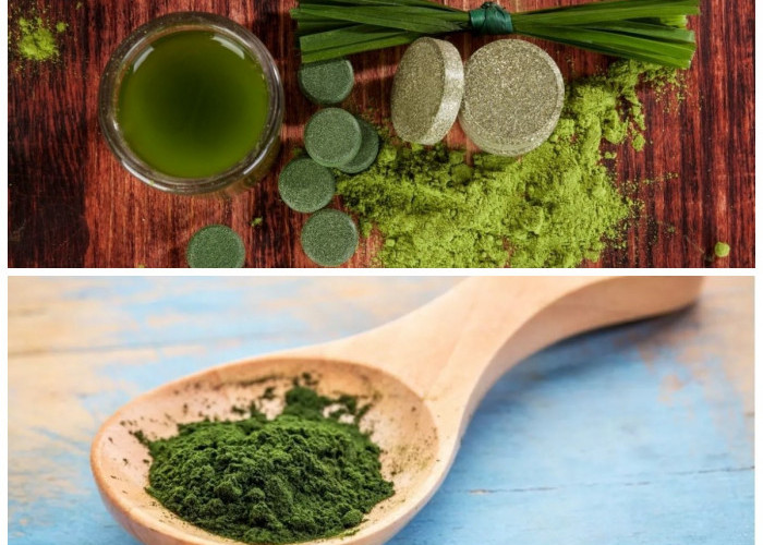 Rahasia Chlorella: Ganggang Hijau Kaya Nutrisi untuk 8 Manfaat Tubuh yang Hebat