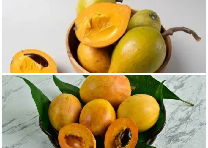 Manfaat Buah Campolay bagi Kesehatan Tubuh: Si Kecil Asam yang Kaya Gizi dan Khasiat Alami!