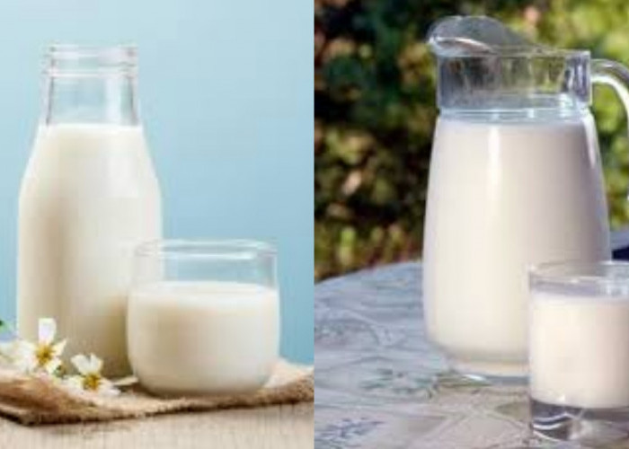 Inilah Manfaat Susu Murni Beserta Efek Sampingnya Yang Harus Kalian Ketahui!