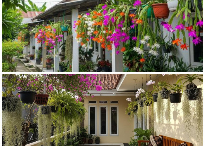 Teras Mungil Tetap Estetik! Ini 5 Tanaman Hias yang Bisa Digantung dan Tak Mudah Rimbun
