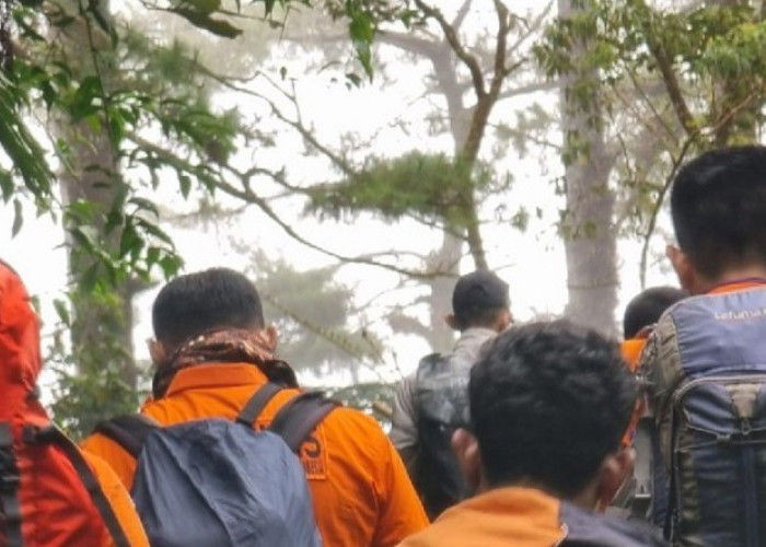 Gunung Marapi Erupsi, Basarnas Padang Evakuasi 164 Pendaki