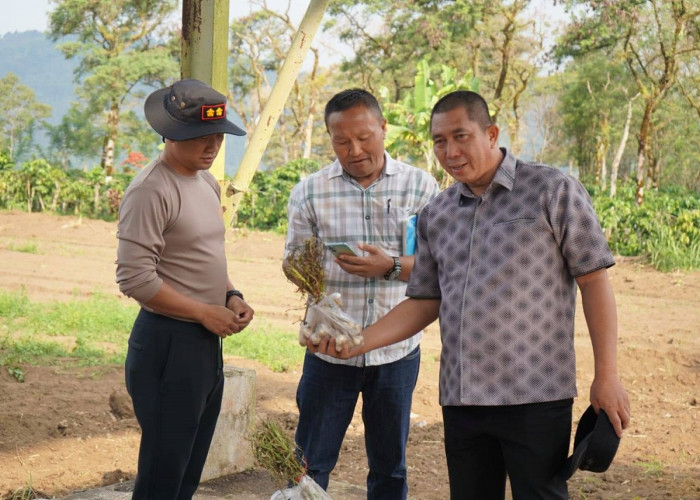 Kapolres : Dukung Pagar Alam Sentra Bawang Putih di Sumsel