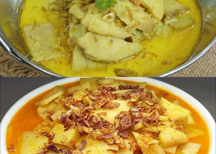 7 Manfaat Umbut Kelapa bagi Kesehatan yang Menarik untuk Diketahui