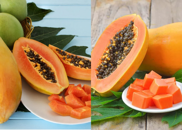 Inilah 10 Manfaat Pepaya Bagi Kesehatan Yang Harus Kalian Tahu! 