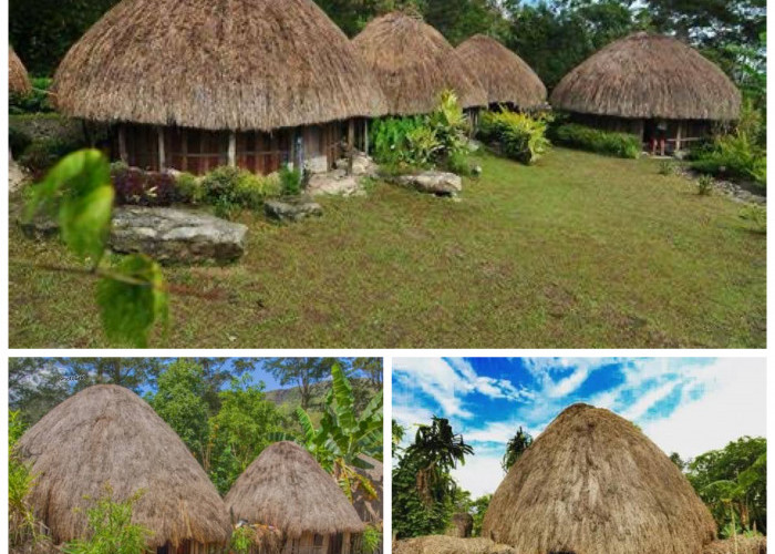 Sejarah Rumah Honai: Simbol Kehidupan, Identitas Budaya, dan Ketahanan Suku Dani di Papua!