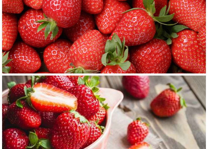 Manfaat Strawberry bagi Kesehatan Tubuh: Buah Merah yang Kaya Nutrisi dan Antioksidan!