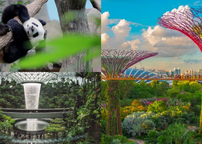 Banyak yang Belum Tahu, Ini 7 Destinasi Aneh yang Wajib Dikunjungi di Singapura