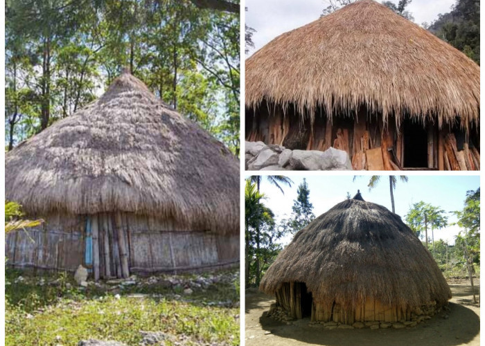 Memahami Sejarah Rumah Lopo: Warisan Arsitektur Masyarakat Timor!