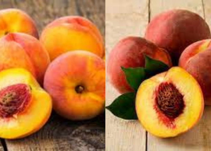 Mengandung Nutrisi Penting Inilah Manfaat Buah Peach Untuk Kesehatan!