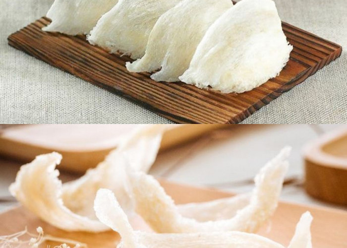 Sarang Burung Walet: Superfood Tradisional Bernilai Tinggi yang Menyimpan Segudang Khasiat untuk Kesehatan