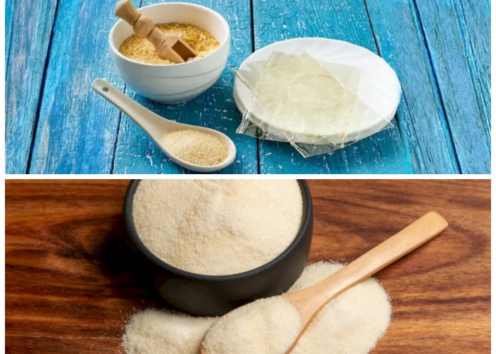 Kenali Manfaat Gelatin: Sumber Kolagen Alami yang Bikin Tubuh Lebih Sehat dan Bugar!