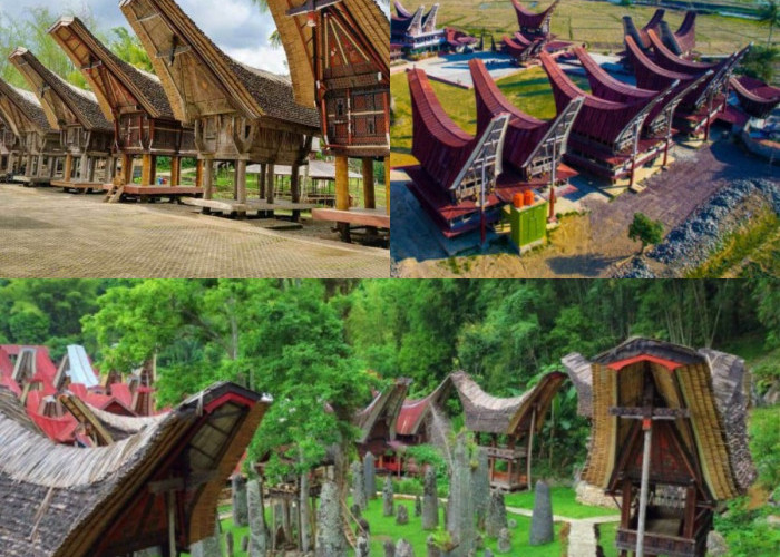 Tempat Wisata di Toraja yang Menyajikan Keunikan Budaya Hingga Wisata Alam yang Menakjubkan!