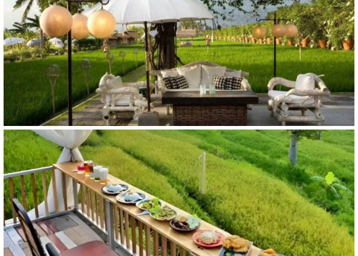 Inspirasi 10 Cafe Sawah Viral 2026: Konsep Kekinian yang Menyatu dengan Keindahan Alam