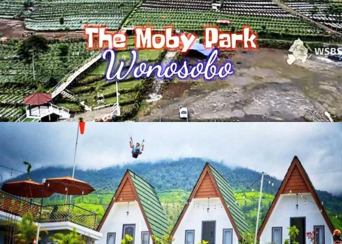 Habiskan Liburmu dengan Menikmati Keindahan View Terbaik di Wisata Glamping  The Moby Park Wonosobo 