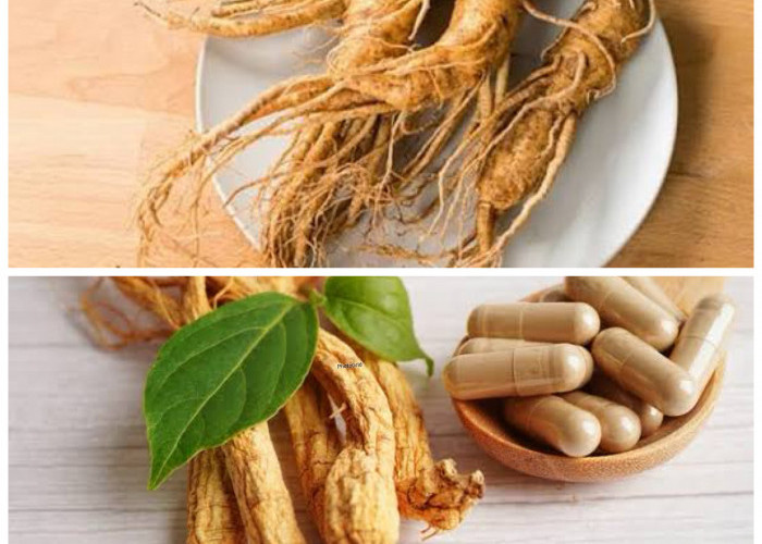 Rahasia Herbal Alami: 6 Khasiat Daun Ginseng yang Jarang Diketahui untuk Menjaga Kesehatan Tubuh!