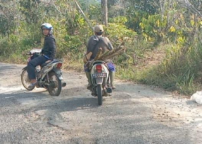 Belum Ada Perhatian Pemerintah, Akses Jalan di Pagar Alam Memprihatinkan