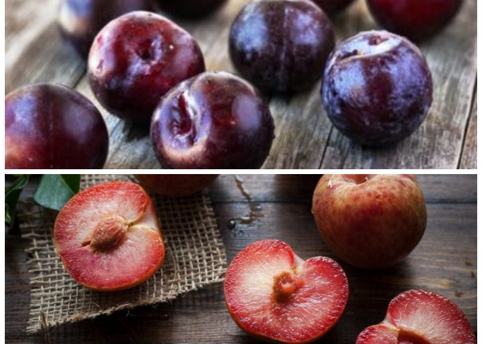 8 Manfaat Luar Biasa Buah Plum untuk Kesehatan yang Jarang Diketahui