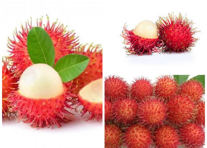 Manfaat Rambutan Bagi Kesehatan Tubuh!