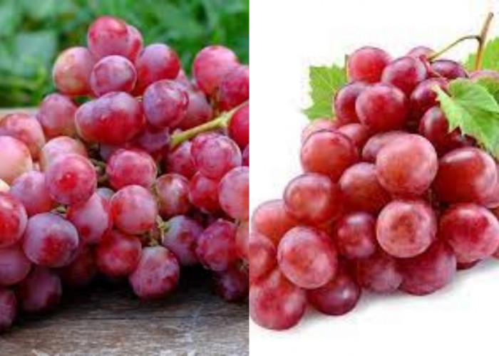 Jarang Diketahui Inilah Manfaat Anggur Merah Untuk Kesehatan Yang Luar Biasa!