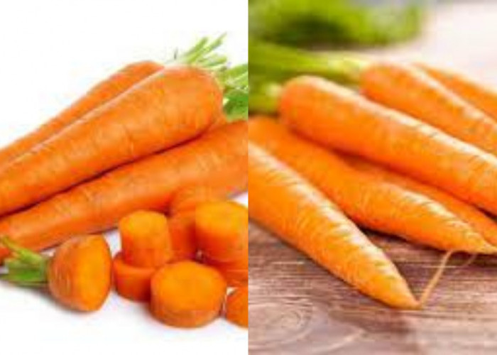  Wajib Tahu 8 Manfaat Wortel bagi Kesehatan yang Sayang Dilewatkan!