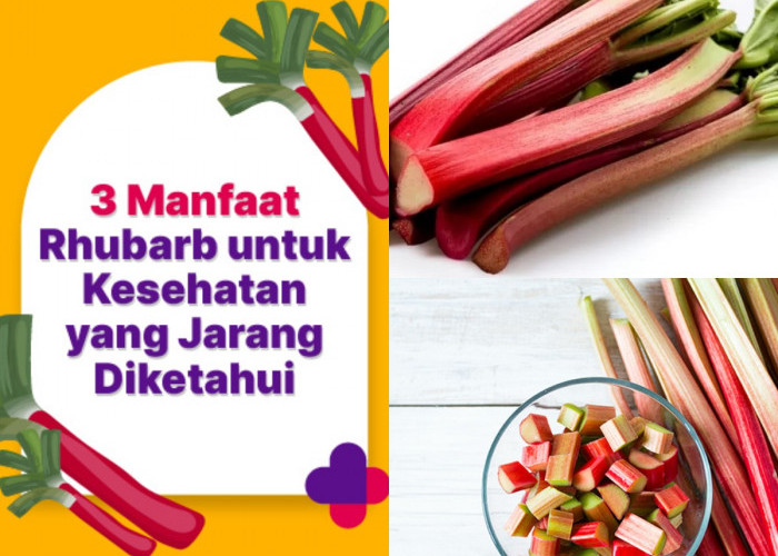 Rhubarb Bisa Membantu Kesehatan Tulang? Temukan 5 Manfaatnya di Sini!