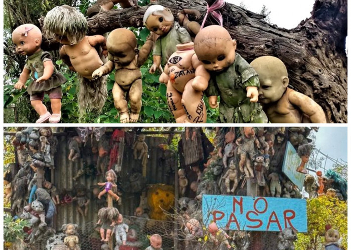 Menelusuri Pulau Patung: Sejarah dan Misteri di Tengah Kanal Xochimilco!