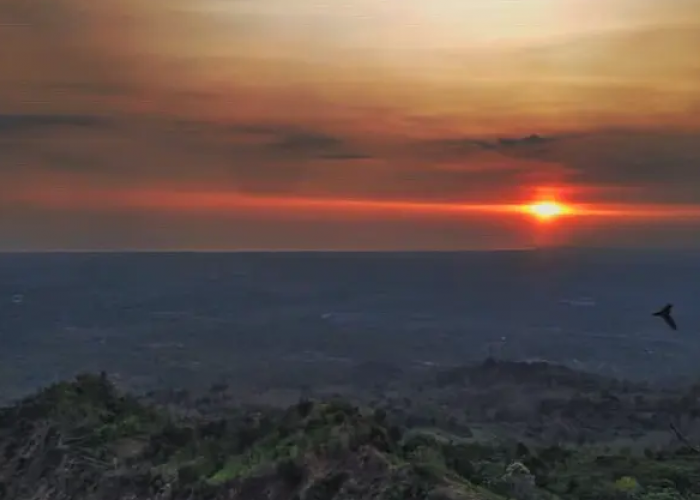 Terkenal dengan Keindahan Sunsetnya, Kamu Wajib Banget Menikmati Keindaha Bukit Cendana Rembang 