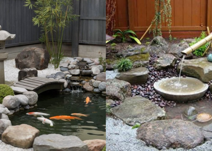 Desain Kolam Ikan Zen Garden untuk Rumah Kecil, Solusi Taman Minimalis yang Menenangkan!