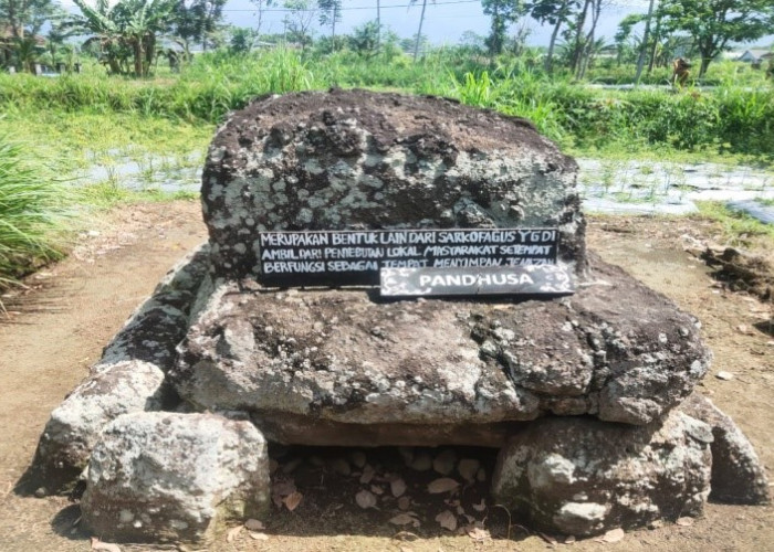 Ingin Menyaksikan Sejarah Megalitikum? Ayo Kunjungi Bondowoso!