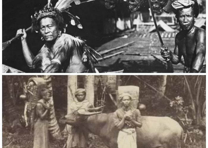 Mengenal Sejarah Suku Wajak: Jejak Awal Manusia Modern di Nusantara!