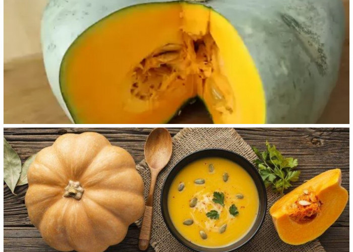 Manfaat Labu Kuning untuk Mengatasi Asam Lambung: Solusi Alami untuk Perut Nyaman!