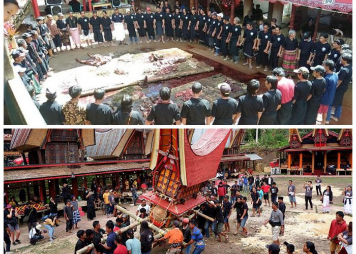 Sejarah dan Makna Ritual Rambu Solo: Warisan Adat Pemakaman Masyarakat Toraja!