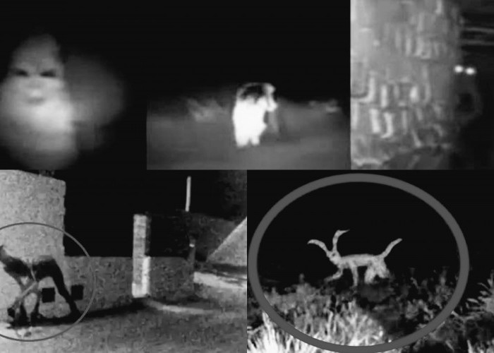 Bikin Heboh Penampakan Makhluk Mitologi yang Berhasil Terekam Kamera. Ini Penjelasannya