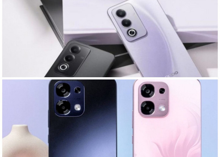 Oppo A6 Pro 5G Siap Temani Underwater Photography, Kamera Andal di Segmen Menengah
