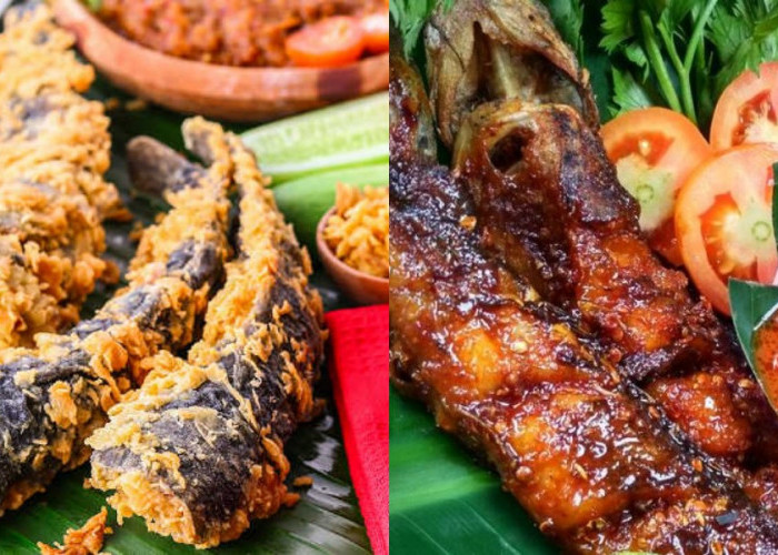 Lele Lovers Wajib Coba, 7 Resep Food Prep Simpel dan Lezat