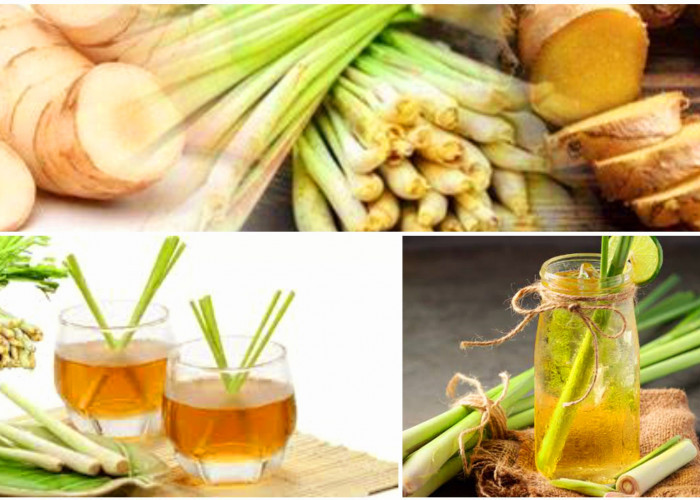 Minum Air Jahe dan Serai Sebelum Tidur Malam Bermanfaat untuk Kesehatan Tubuh
