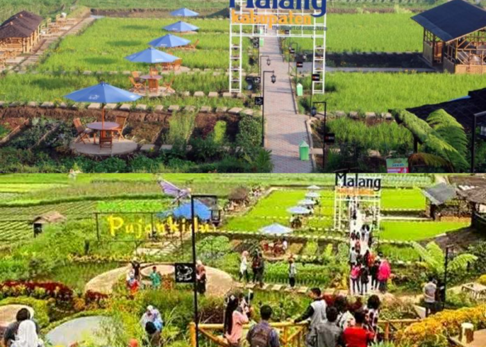 Dinobatkan Desa Briliant Nasional! Inilah Pesona Indah yang Disuguhkan Desa Wisata di Malang 