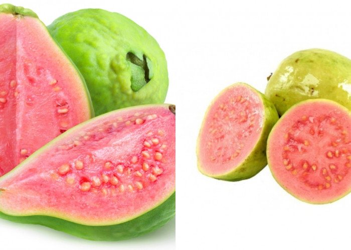 Mengontrol kadar gula darah Inilah Manfaat Dari Jambu Biji Yang Jarang Diketahui! 