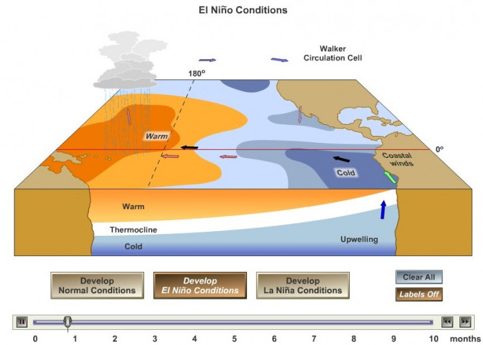 Wow! Ternyata Begini Proses Terjadinya Fenomena El Nino, Lalu Bagaimana Dampaknya?