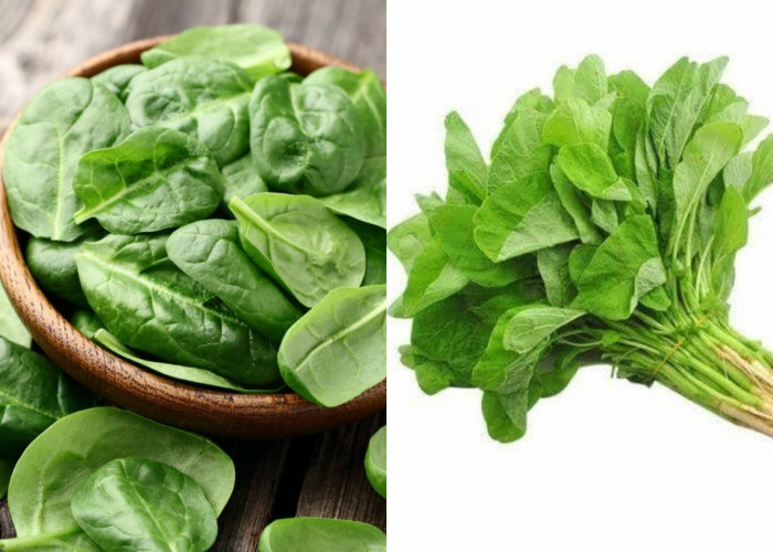 Manfaat Sayur Bayam Bagi Kesehatan Tubuh: Dari Mencegah Anemia Dan Pencernaan