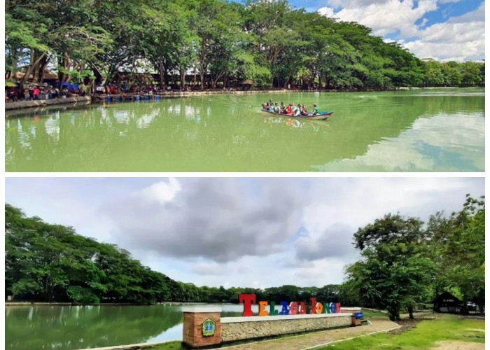 Menyikapi Sejarah Telaga Jonge: Permata Alam di Jantung Gunungkidul!