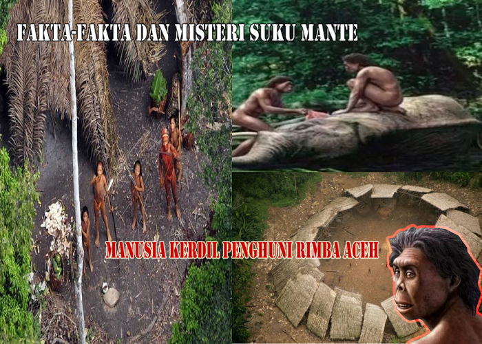Fakta-Fakta dan Misteri Suku Mante, Manusia Kerdil Penghuni Rimba Aceh