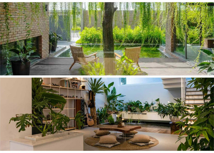 Rumah Tetap Menawan! Rahasia Dekorasi Rumah Hijau 2026 dengan Tanaman Dekoratif yang 100% Pet Friendly